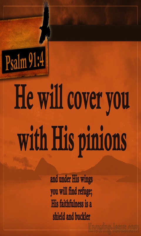 Psalm 91:4 He Will Cover You With His Pinions (orange)